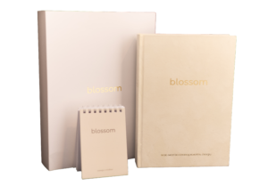 IMG_9309 Планер Blossom
